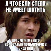 а что если стёпа не умеет шутить потому что у него волосатый подбородок в виде яиц