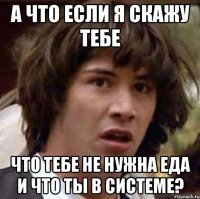 а что если я скажу тебе что тебе не нужна еда и что ты в системе?