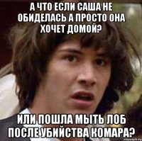 а что если саша не обиделась а просто она хочет домой? или пошла мыть лоб после убийства комара?