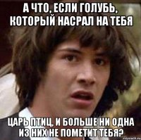 а что, если голубь, который насрал на тебя царь птиц, и больше ни одна из них не пометит тебя?