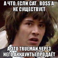 а что, если cat_boss'a не существует а это trueman через него аккаунты продаёт