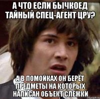 а что если бычкоед тайный спец-агент цру? а в помойках он берёт предметы на которых написан объект слежки