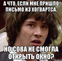 а что, если мне пришло письмо из хогвартса, но сова не смогла открыть окно?