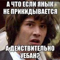 а что если янык не прикидывается а действительно уебан?