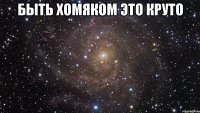 быть хомяком это круто 