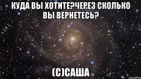 куда вы хотите?через сколько вы вернетесь? (с)саша