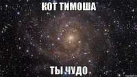 кот тимоша ты чудо