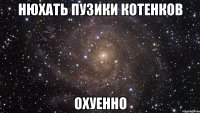 нюхать пузики котенков охуенно