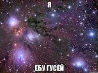 я ебу гусей