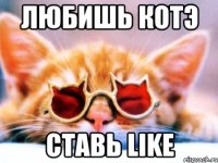 любишь котэ ставь like