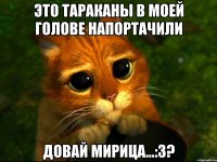 это тараканы в моей голове напортачили довай мирица...:3?