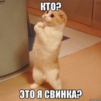 кто? это я свинка?