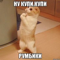 ну купи,купи румбики