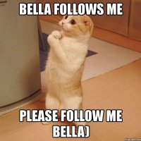 bella follows me please follow me bella)