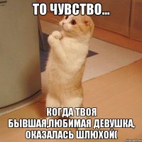 то чувство... когда твоя бывшая,любимая девушка, оказалась шлюхой(