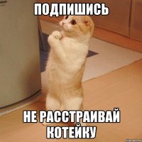 подпишись не расстраивай котейку