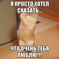 я просто хотел сказать... что очень тебя люблю!!!