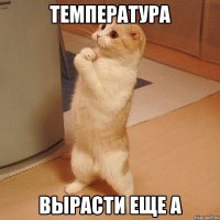 температура вырасти еще а