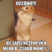 хозяин!!! ну зарегистрируй и меня в "cloud money"!