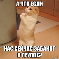 а что если нас сейчас забанят в группе?