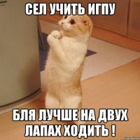 сел учить игпу бля лучше на двух лапах ходить !