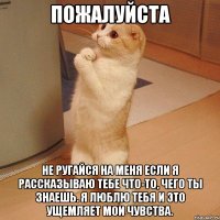 пожалуйста не ругайся на меня если я рассказываю тебе что-то, чего ты знаешь. я люблю тебя и это ущемляет мои чувства.