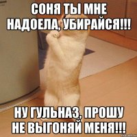 соня ты мне надоела, убирайся!!! ну гульназ, прошу не выгоняй меня!!!