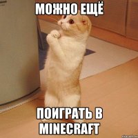 можно ещё поиграть в minecraft