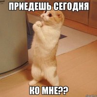 приедешь сегодня ко мне??