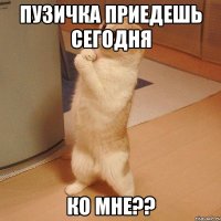 пузичка приедешь сегодня ко мне??