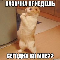 пузичка приедешь сегодня ко мне??