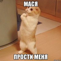 мася прости меня