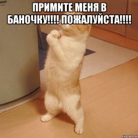 примите меня в баночку!!! пожалуйста!!! 