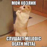 мой хозяин слушает melodic death metal