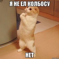 я не ел колбосу нет