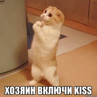  хозяин включи kiss