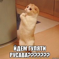  йдем гуляти русава???