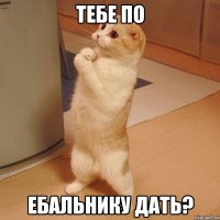 тебе по ебальнику дать?