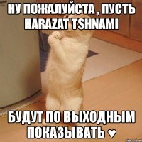 ну пожалуйста , пусть harazat tshnami будут по выходным показывать ♥