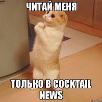 читай меня только в cocktail news