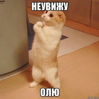 неувижу олю