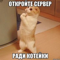 откройте сервер ради котейки