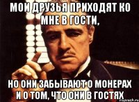 мои друзья приходят ко мне в гости, но они забывают о монерах и о том, что они в гостях