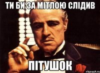 ти би за мітлою слідив пітушок