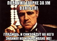 пора уже егорке за ум взяться! глядишь, и снизойдут на него знания! но не на диване же!