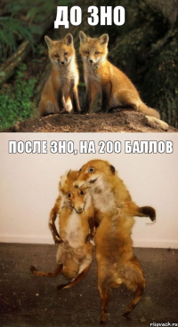 до ЗНО после ЗНО, на 200 баллов