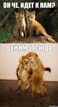 он че, идет к нам? бежим отсюда