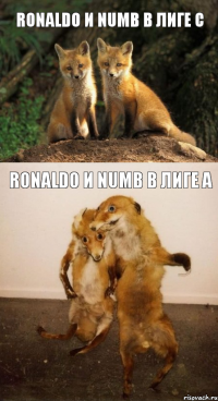 RonaLDo и Numb в лиге С RonaLDo и Numb в лиге А