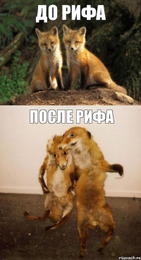 ДО РИФА ПОСЛЕ РИФА