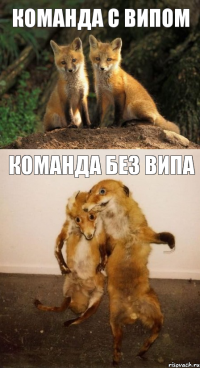 команда с випом команда без випа